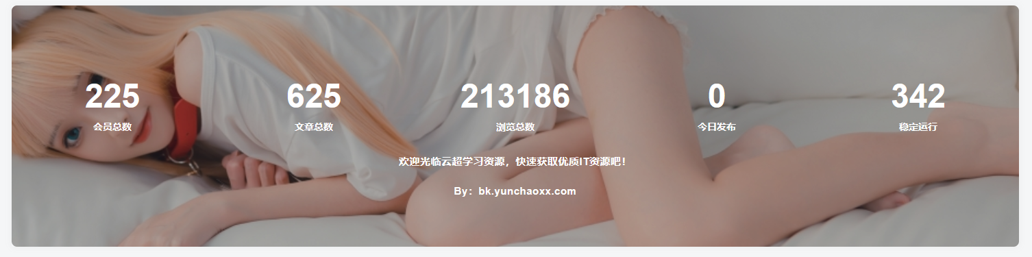 子比主题-添加底部统计信息模块小工具【子比美化教程】-云潮源码库