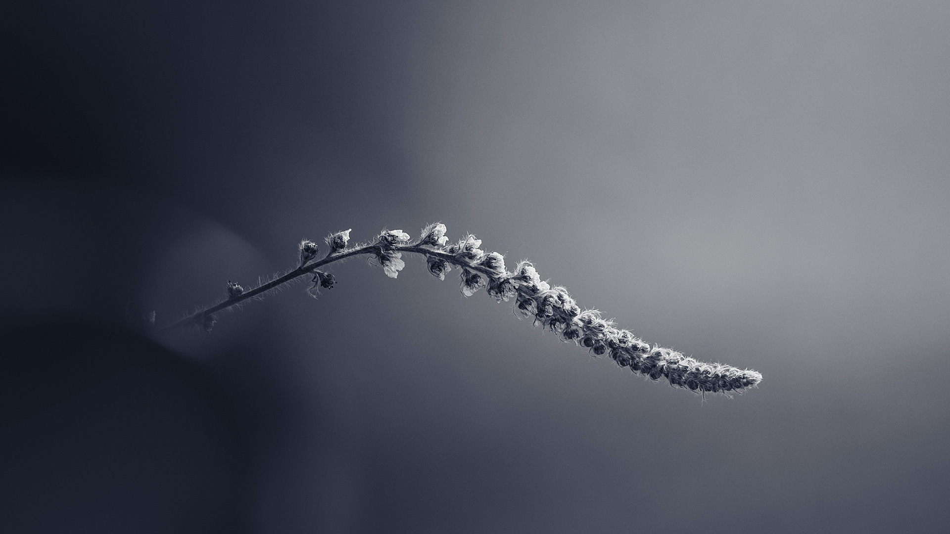 提高网站速度WordPress免插件优化压缩网页代码